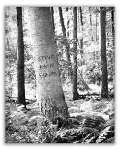 a black and white photo of a tree in the woods with words written on it