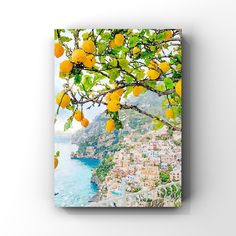 an orange tree with fruit hanging from it's branches over the ocean and town below