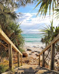 stairs leading down to the beach with palm trees