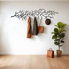 the coat rack is next to a potted plant and two coats hanging on it