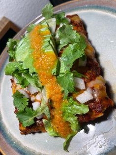 a white plate topped with meat covered in sauce and cilantro leafy garnish