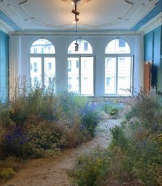 an empty room with several windows and plants on the ground in front of it,