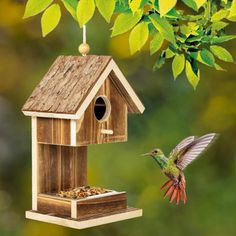 a bird feeder hanging from a tree next to a hummingbird