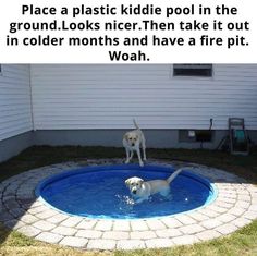 two dogs are playing in a pool with the caption, place a plastic kiddie pool in the ground looks nice then take it out in cooler months and have a fire pit