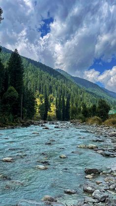 a river flowing through a lush green forest filled with lots of rocks next to a mountain