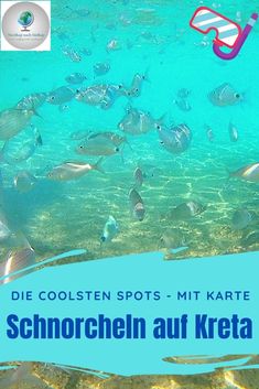 an image of a bunch of fish swimming in the water with text that reads die coolsten spots mit karte