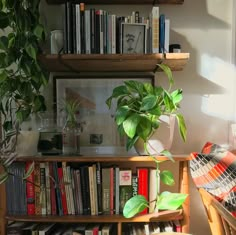 a bookshelf filled with lots of books next to a potted plant on top of a wooden shelf