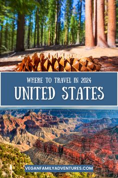 Where to Travel in 2024 in the United States, USA Travel Bucketlist Bucketlist 2024, Usa Travel Bucket List, Usa Landmarks, Lifetime Bucket List, 2024 Travel, Visit Places, Travel Bucket List Usa, Vegan Travel, Travel Wishlist