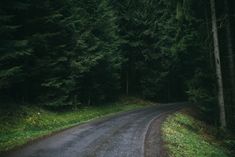 an empty road in the middle of a forest with tall trees on both sides and green grass to the side