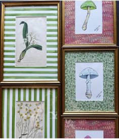 four framed pictures with different types of flowers and mushrooms on them, all in gold frames