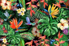 colorful tropical leaves and flowers on a black background