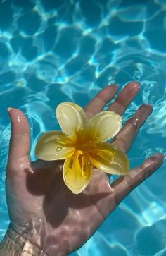 a hand holding a yellow flower in the middle of a swimming pool with blue water