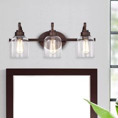 a bathroom vanity with three lights and a mirror on the wall next to a potted plant