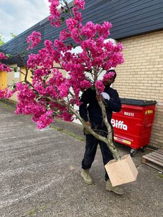 a man with a shopping bag walking past a flowering tree