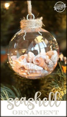 an ornament hanging from a christmas tree filled with seashells and starfish