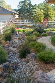 a garden with rocks and plants in the foreground, near a white picket fence