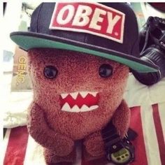 a stuffed animal wearing a hat and holding a camera in it's mouth with the word obey written on it