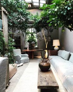 a living room filled with furniture and lots of greenery