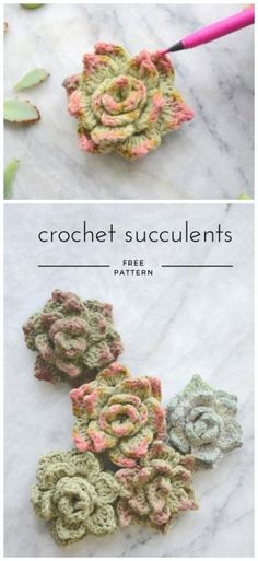 crochet succulents are shown in three different colors