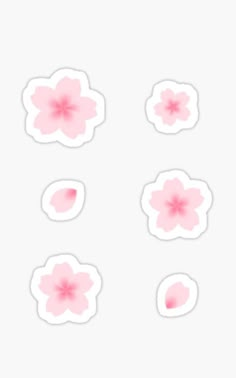 six pink flowers stickers on a white background with the same color as the petals