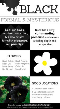 the black and white poster shows different types of flowers