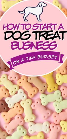 How To Start A Dog Treat Business in 6 Easy Steps How To Package Homemade Dog Treats, Dog Treat Stand Ideas, Dog Treats Homemade To Sell, Cute Dog Treat Recipes, Dog Treats To Sell Business, How To Start A Dog Treat Business From Home, Mobile Dog Treat Truck, Selling Homemade Dog Treats, Making Dog Treats To Sell