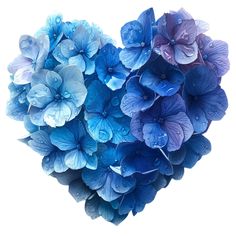 blue and purple flowers in the shape of a heart