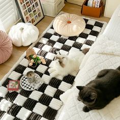 two cats laying on top of a black and white checkered bed spread in a bedroom