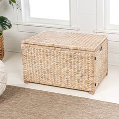 a wicker box sitting on top of a rug next to a potted plant