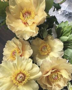 some yellow flowers are in a vase on the table