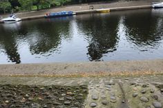 there are many small boats in the water near some rocks and stones on the ground