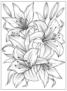 a black and white drawing of flowers