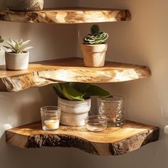 three wooden shelves with plants and glasses on them