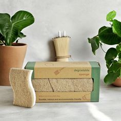 two bamboo toothbrushes sitting on top of each other next to some plants and a plant pot