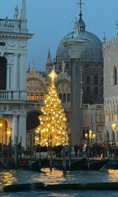 a christmas tree is lit up in front of the grand canal at dusk, venice