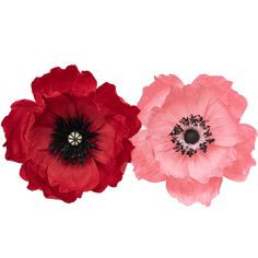 two red and one pink flowers are on a white background with black center in the middle