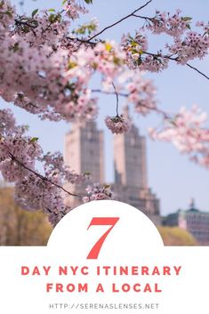 the words 7 day nyc itinerary from a local in front of cherry blossoms