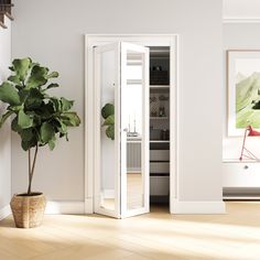 a potted plant sitting on top of a wooden floor next to an open door