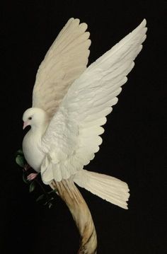 a white bird with its wings spread on a twig in the air, while perched on a branch