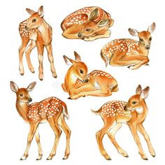 watercolor deers and fawns on white background