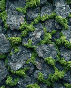 the rocks are covered with green moss