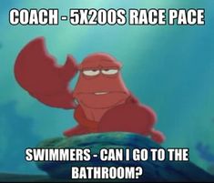 a cartoon character with the caption coach 5x0os race pace swimmers - can i go to the bathroom?