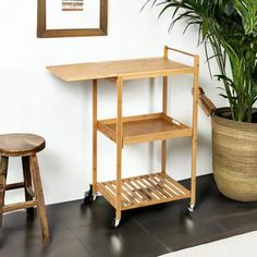 a potted plant sitting on top of a wooden shelf next to a small table