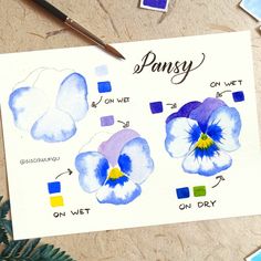 an image of pansy flowers painted with watercolors on dry eraser paper