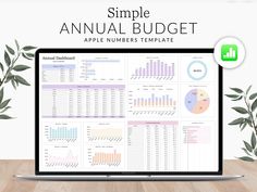 the simple annual budget spreadsheet is displayed on a laptop screen, next to a potted plant