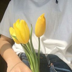 two yellow tulips are in the pocket of someone's jeans