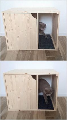 two pictures of a cat in a wooden cabinet