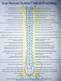 Yoga For Spine Health, Globus Sensation Relief, January Snacks, Cranial Sacral Therapy, Brain And Spine, Nervus Vagus, Craniosacral Therapy, Spine Health, Medical School Studying