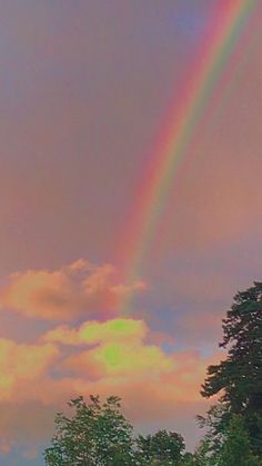 a rainbow appears in the sky above some trees