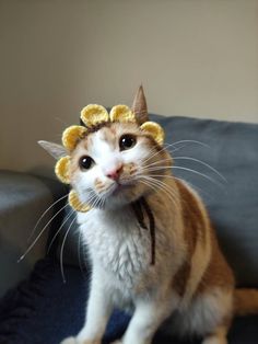 an orange and white cat wearing a yellow flower hat